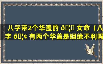 八字带2个华盖的 🦋 女命（八字 🦢 有两个华盖是姻缘不利吗）